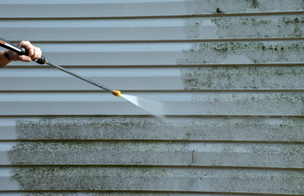 Certified Mold Removal in Williamsburg, VA