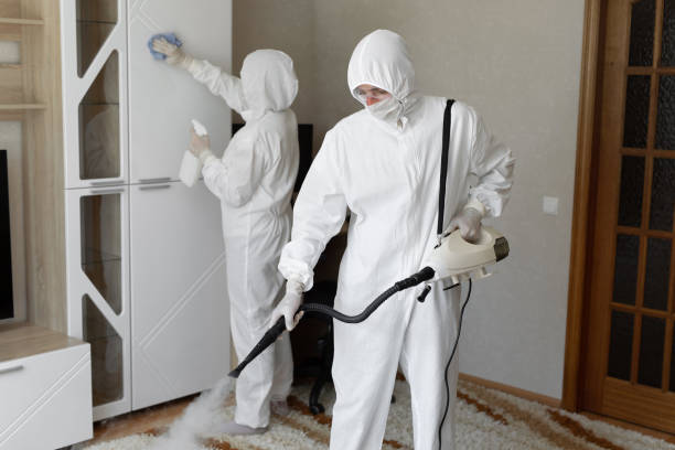 Home Mold Removal in Williamsburg, VA