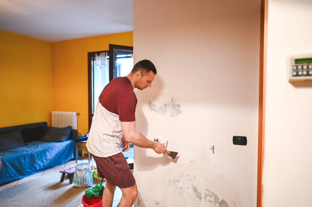 Best Black Mold Removal  in Williamsburg, VA